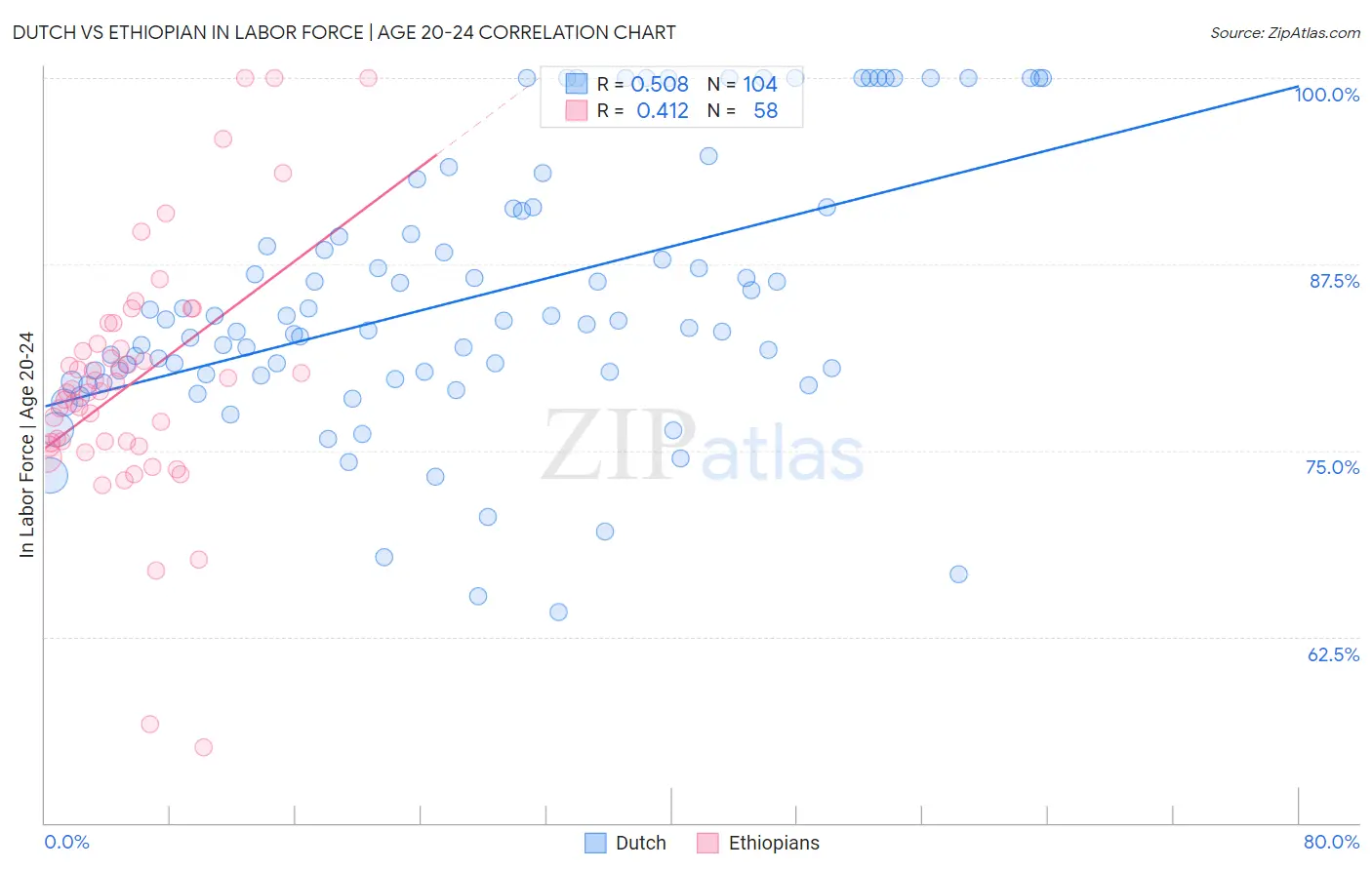 Dutch vs Ethiopian In Labor Force | Age 20-24
