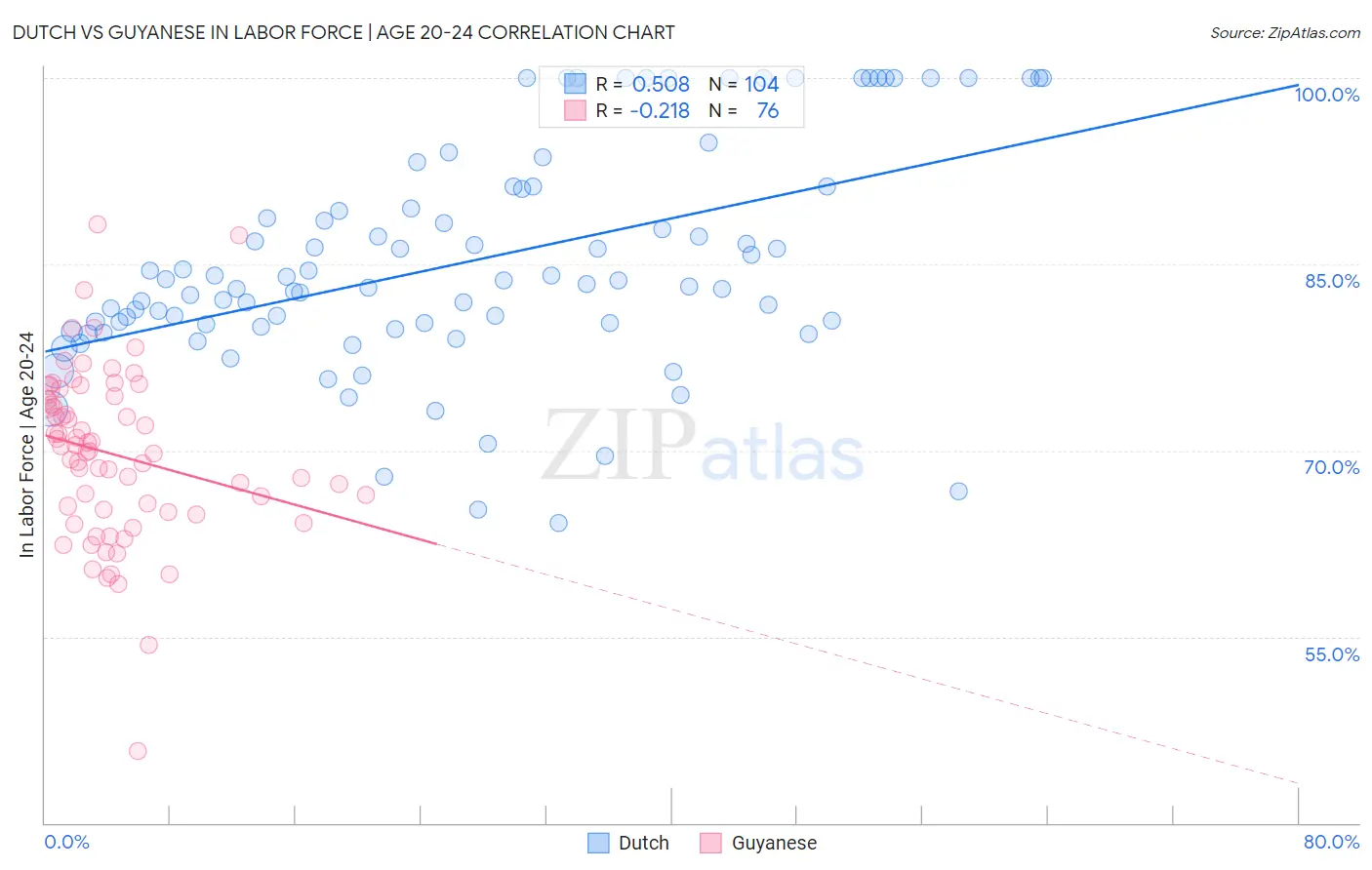 Dutch vs Guyanese In Labor Force | Age 20-24