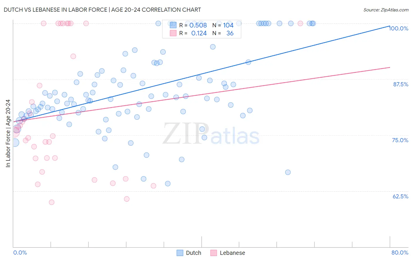 Dutch vs Lebanese In Labor Force | Age 20-24