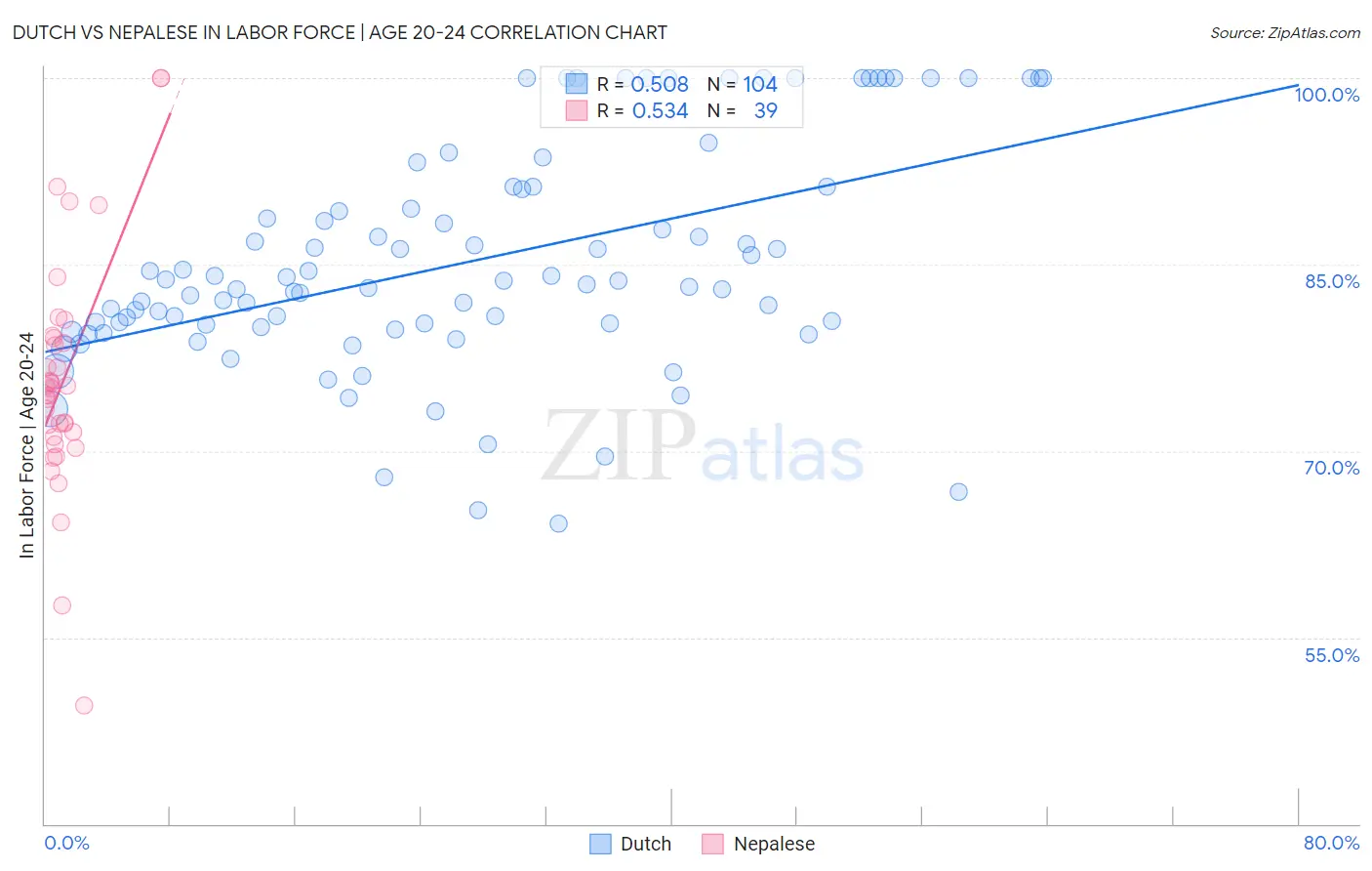 Dutch vs Nepalese In Labor Force | Age 20-24