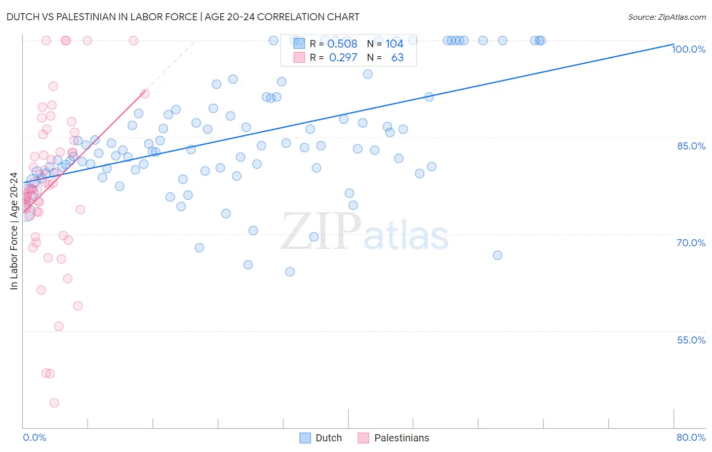 Dutch vs Palestinian In Labor Force | Age 20-24