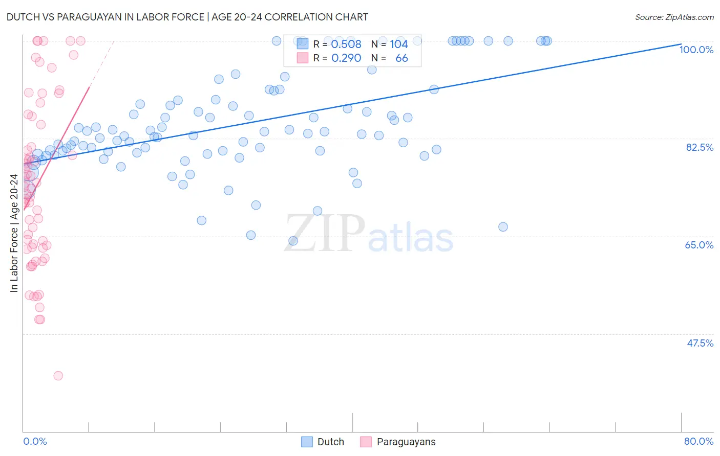 Dutch vs Paraguayan In Labor Force | Age 20-24
