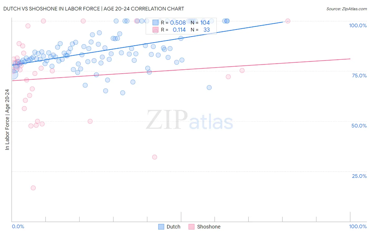 Dutch vs Shoshone In Labor Force | Age 20-24