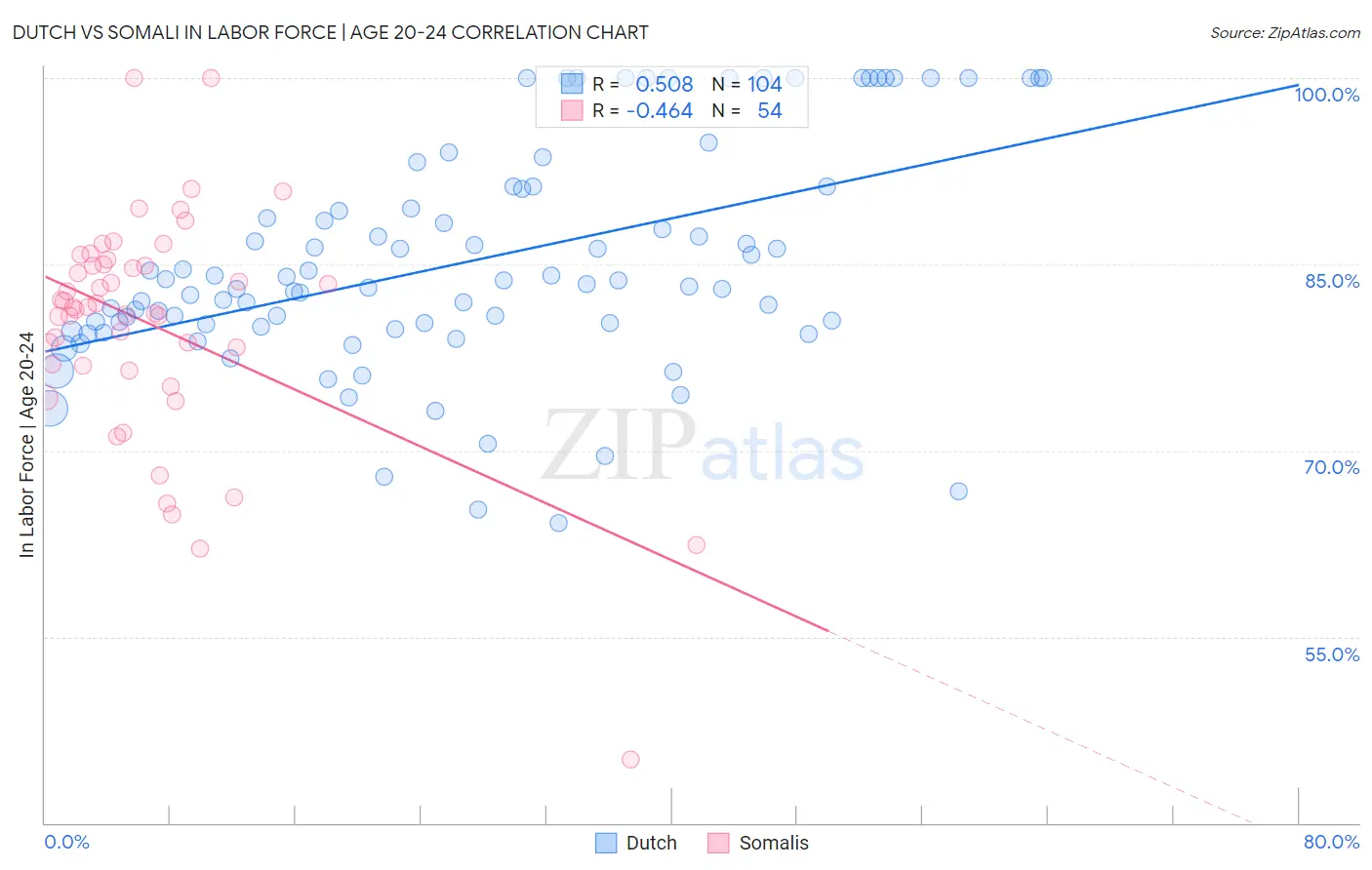 Dutch vs Somali In Labor Force | Age 20-24