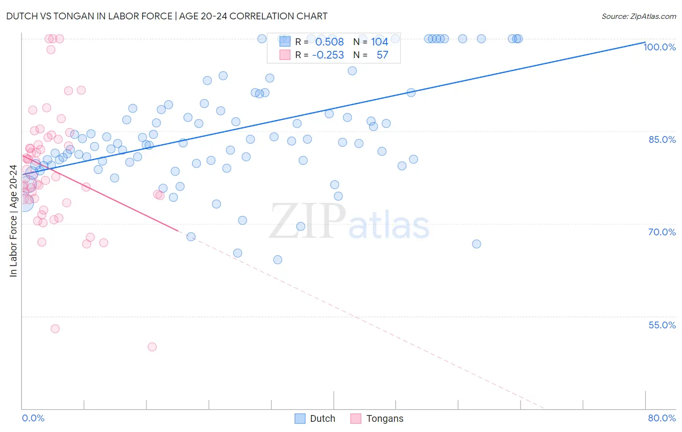 Dutch vs Tongan In Labor Force | Age 20-24