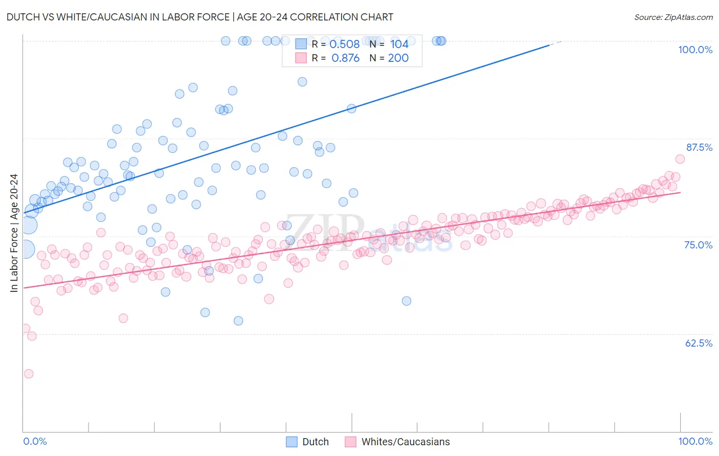 Dutch vs White/Caucasian In Labor Force | Age 20-24