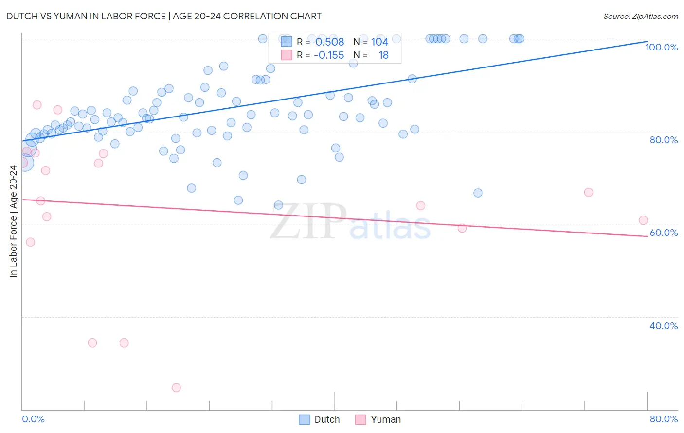 Dutch vs Yuman In Labor Force | Age 20-24