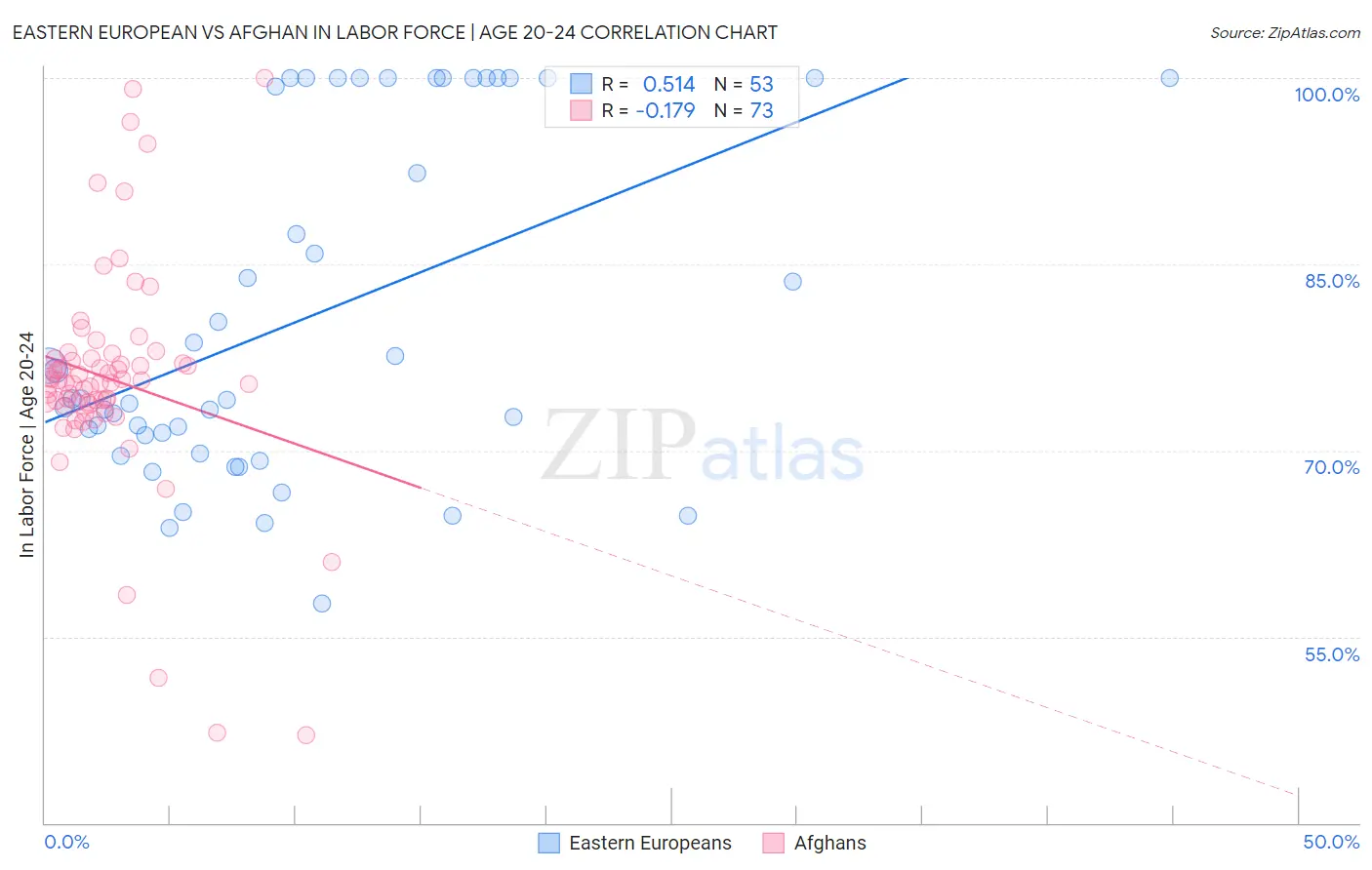 Eastern European vs Afghan In Labor Force | Age 20-24
