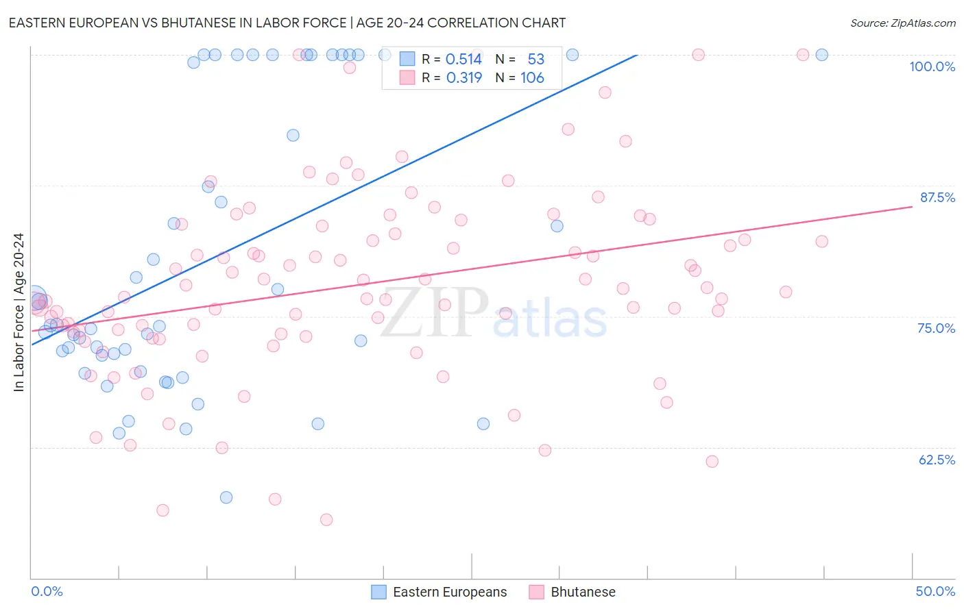 Eastern European vs Bhutanese In Labor Force | Age 20-24