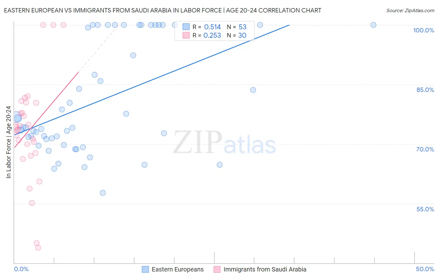 Eastern European vs Immigrants from Saudi Arabia In Labor Force | Age 20-24