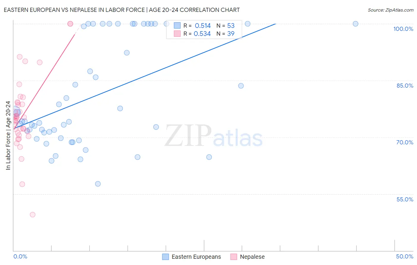 Eastern European vs Nepalese In Labor Force | Age 20-24