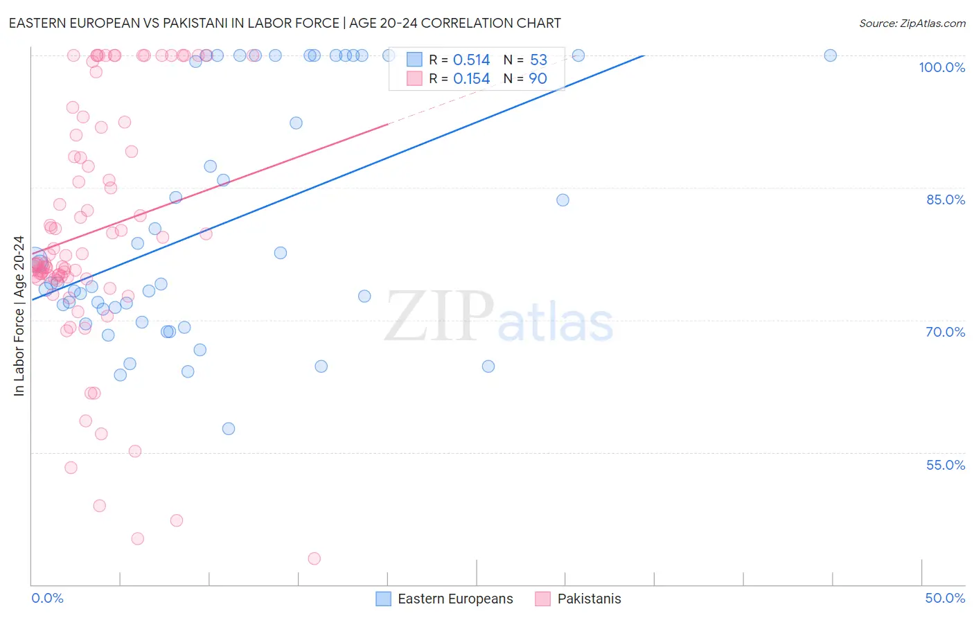 Eastern European vs Pakistani In Labor Force | Age 20-24