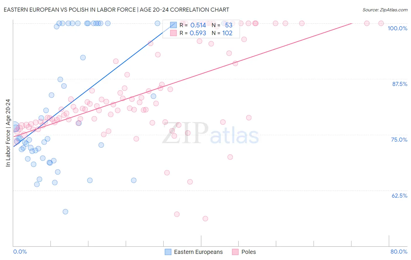 Eastern European vs Polish In Labor Force | Age 20-24