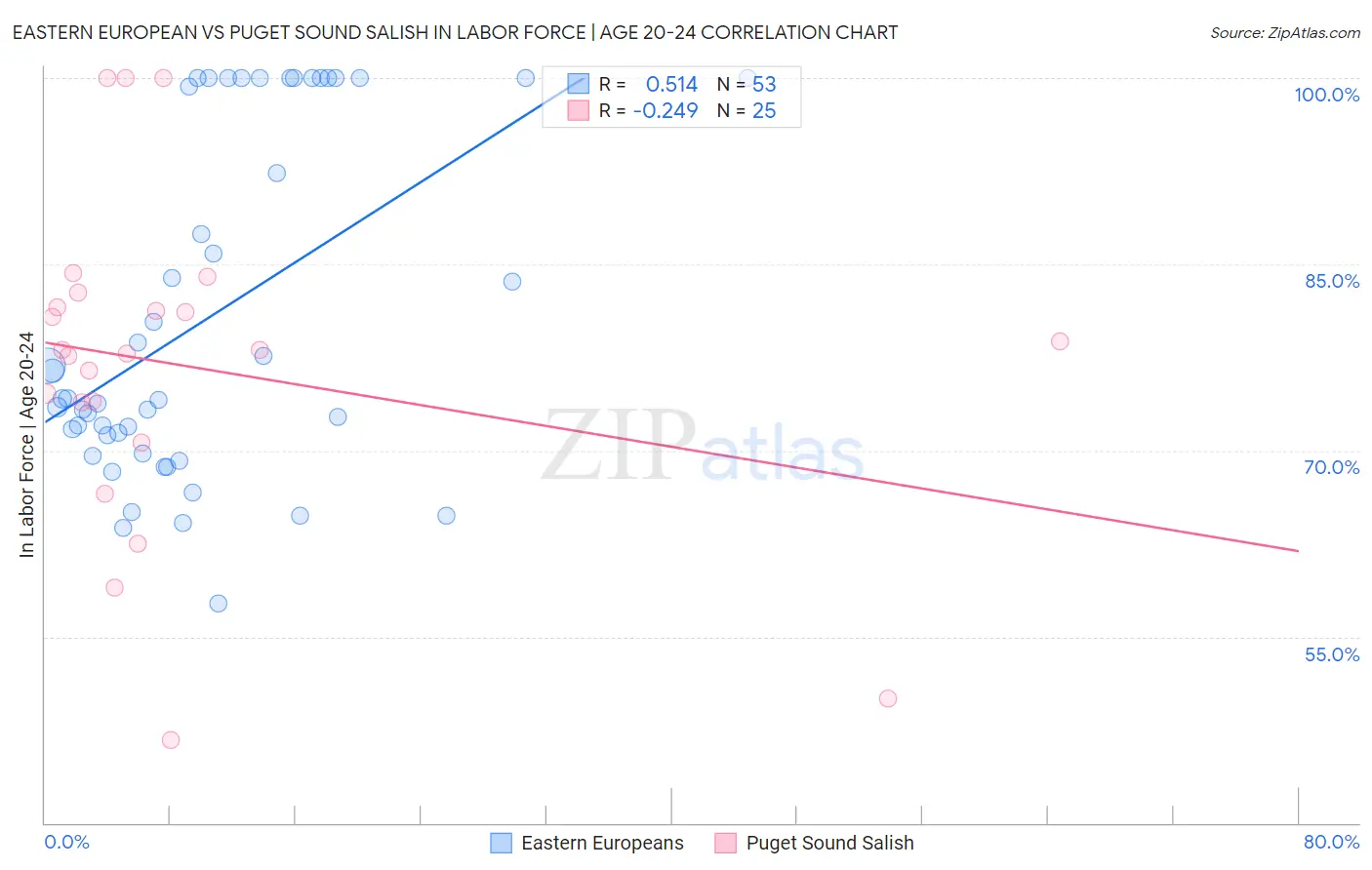 Eastern European vs Puget Sound Salish In Labor Force | Age 20-24