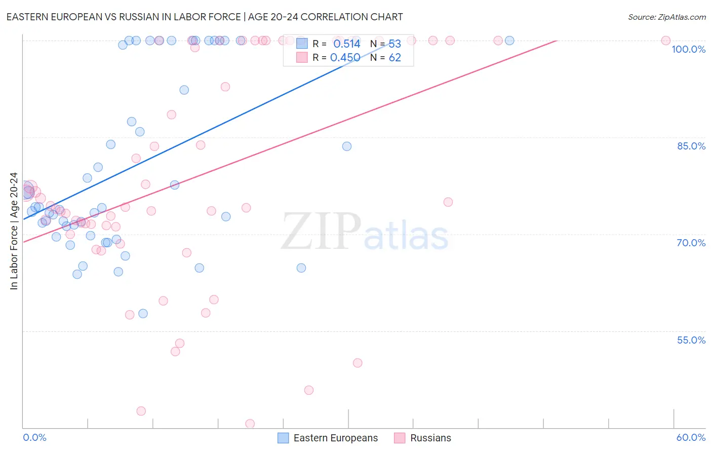 Eastern European vs Russian In Labor Force | Age 20-24