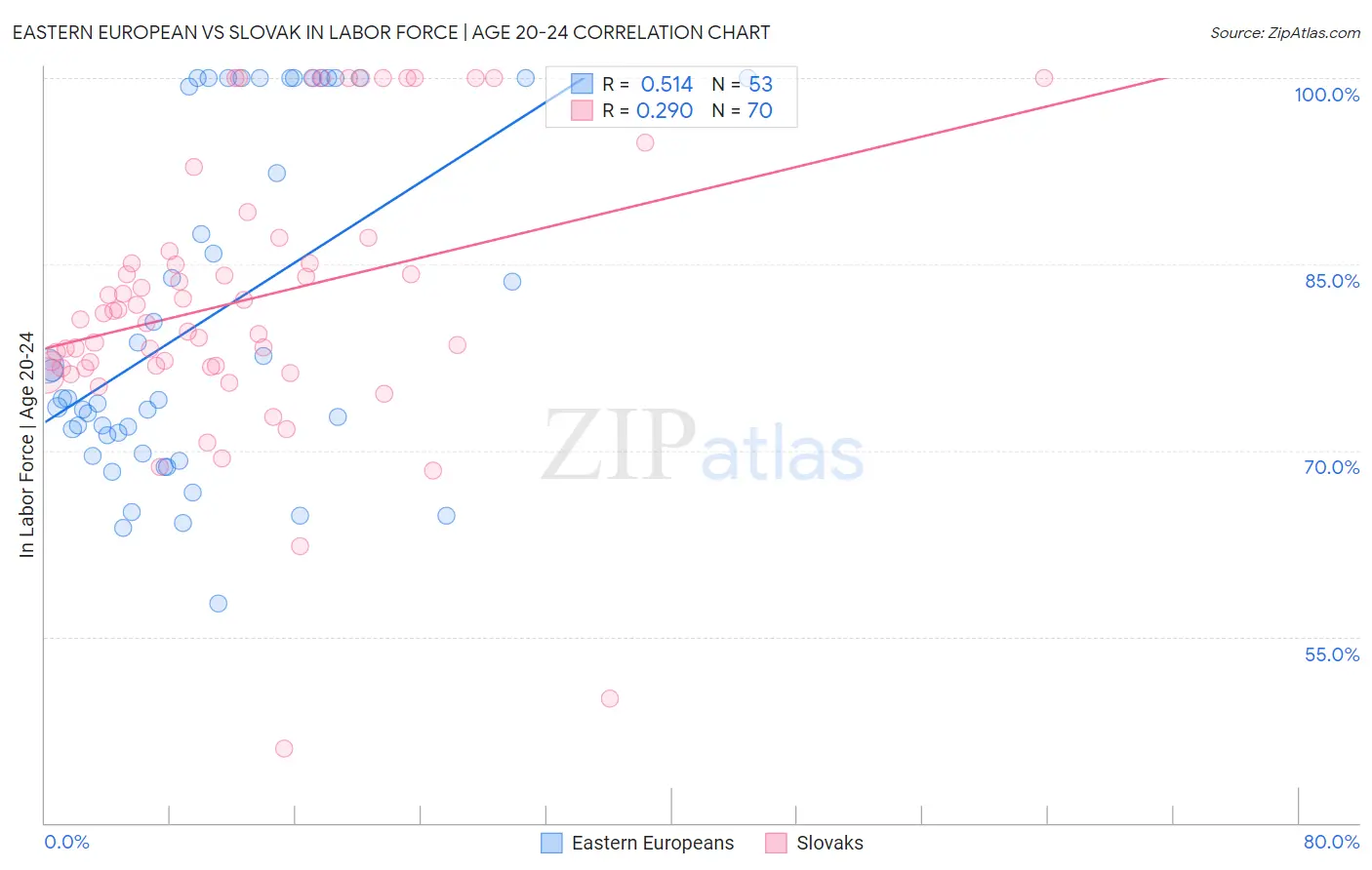 Eastern European vs Slovak In Labor Force | Age 20-24