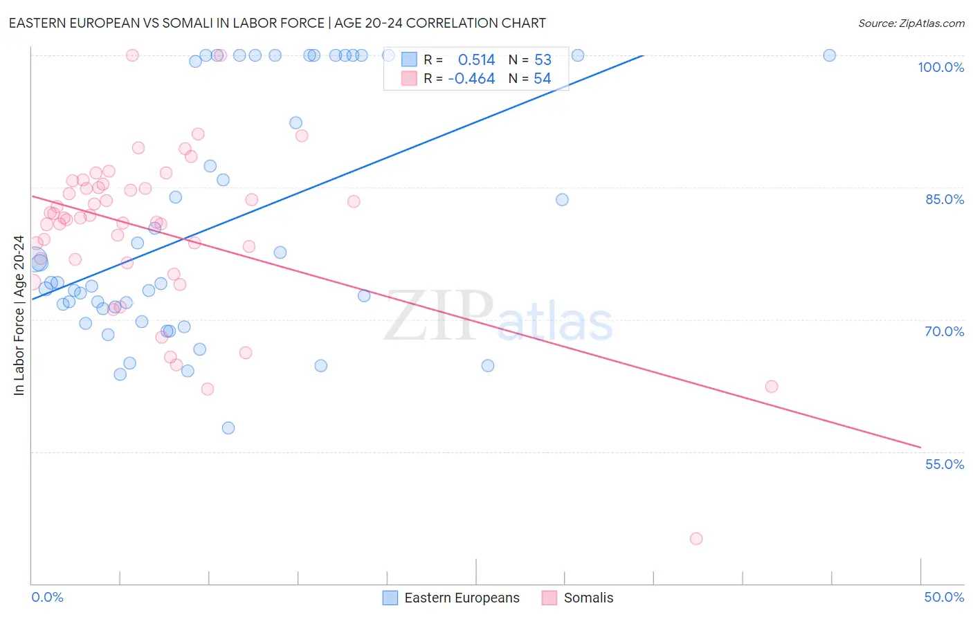 Eastern European vs Somali In Labor Force | Age 20-24