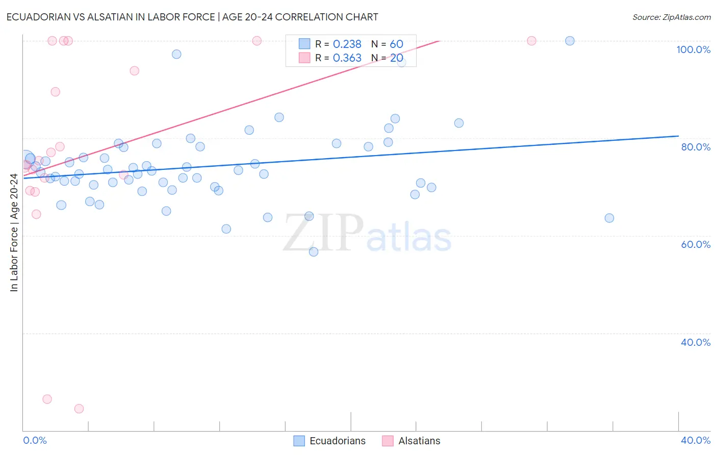 Ecuadorian vs Alsatian In Labor Force | Age 20-24