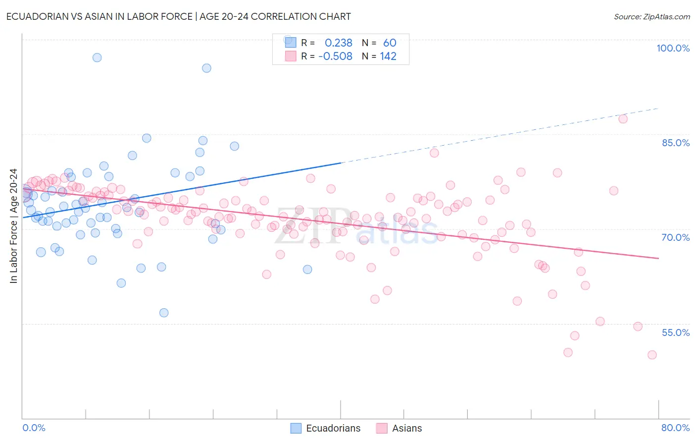 Ecuadorian vs Asian In Labor Force | Age 20-24