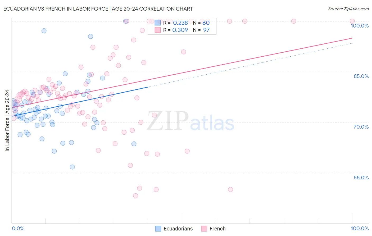 Ecuadorian vs French In Labor Force | Age 20-24