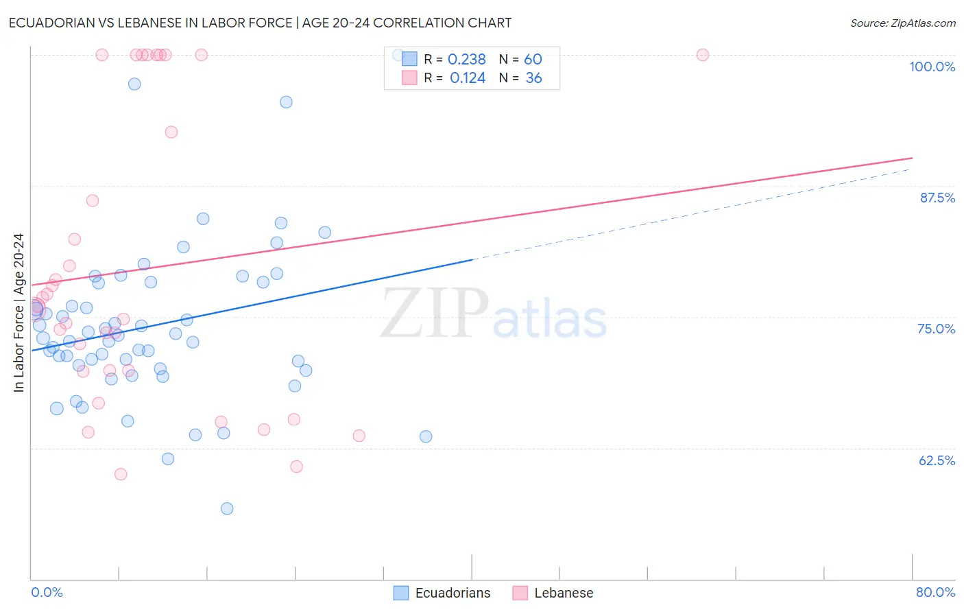 Ecuadorian vs Lebanese In Labor Force | Age 20-24