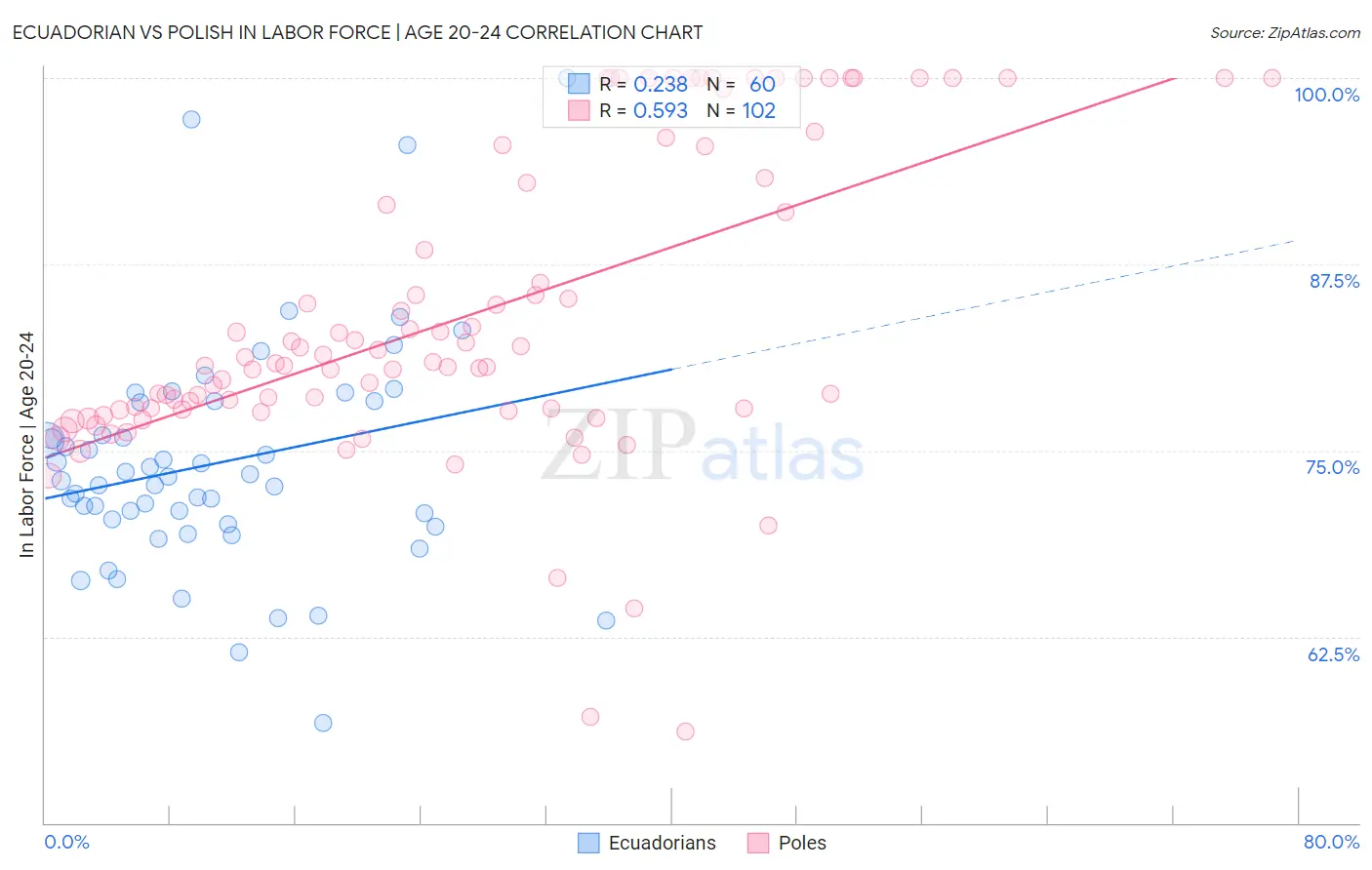 Ecuadorian vs Polish In Labor Force | Age 20-24