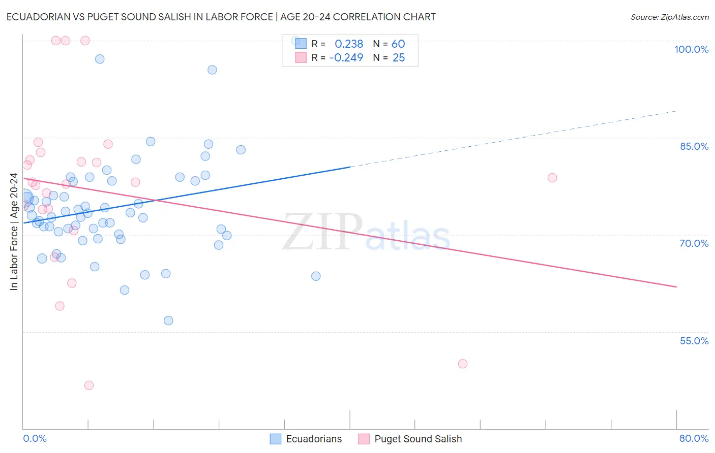 Ecuadorian vs Puget Sound Salish In Labor Force | Age 20-24