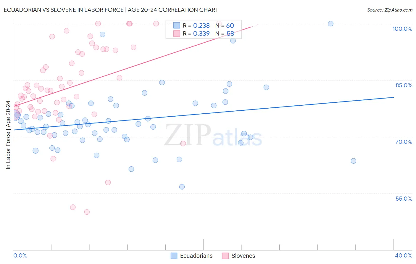 Ecuadorian vs Slovene In Labor Force | Age 20-24