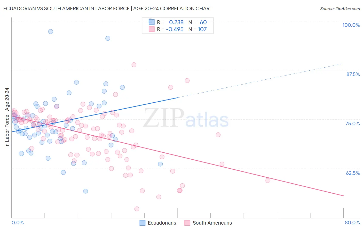 Ecuadorian vs South American In Labor Force | Age 20-24