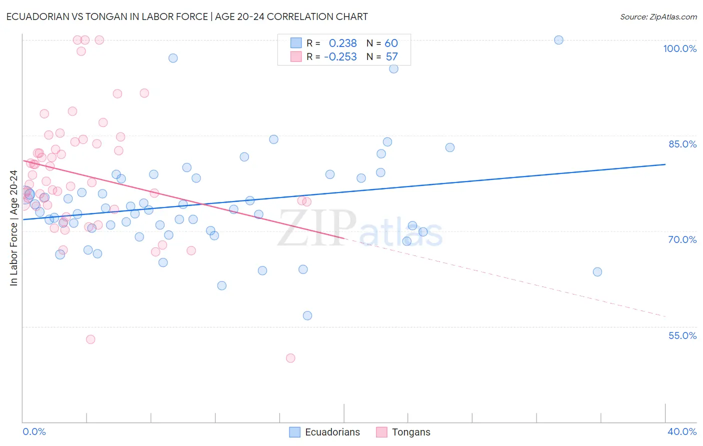 Ecuadorian vs Tongan In Labor Force | Age 20-24