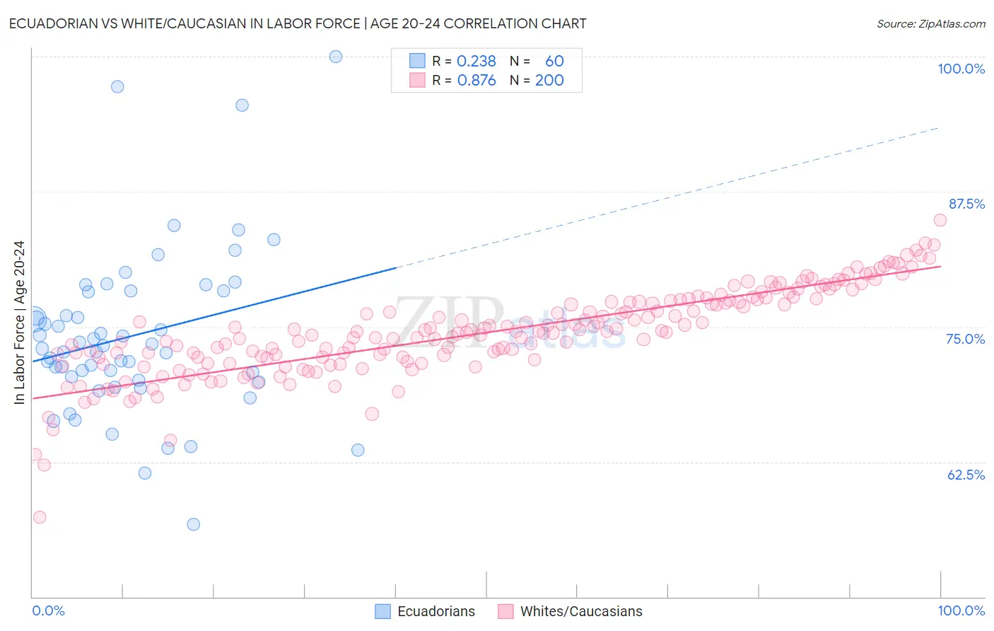 Ecuadorian vs White/Caucasian In Labor Force | Age 20-24