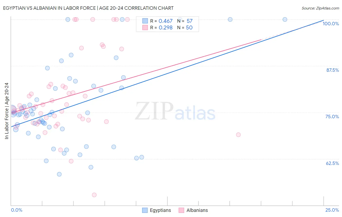 Egyptian vs Albanian In Labor Force | Age 20-24