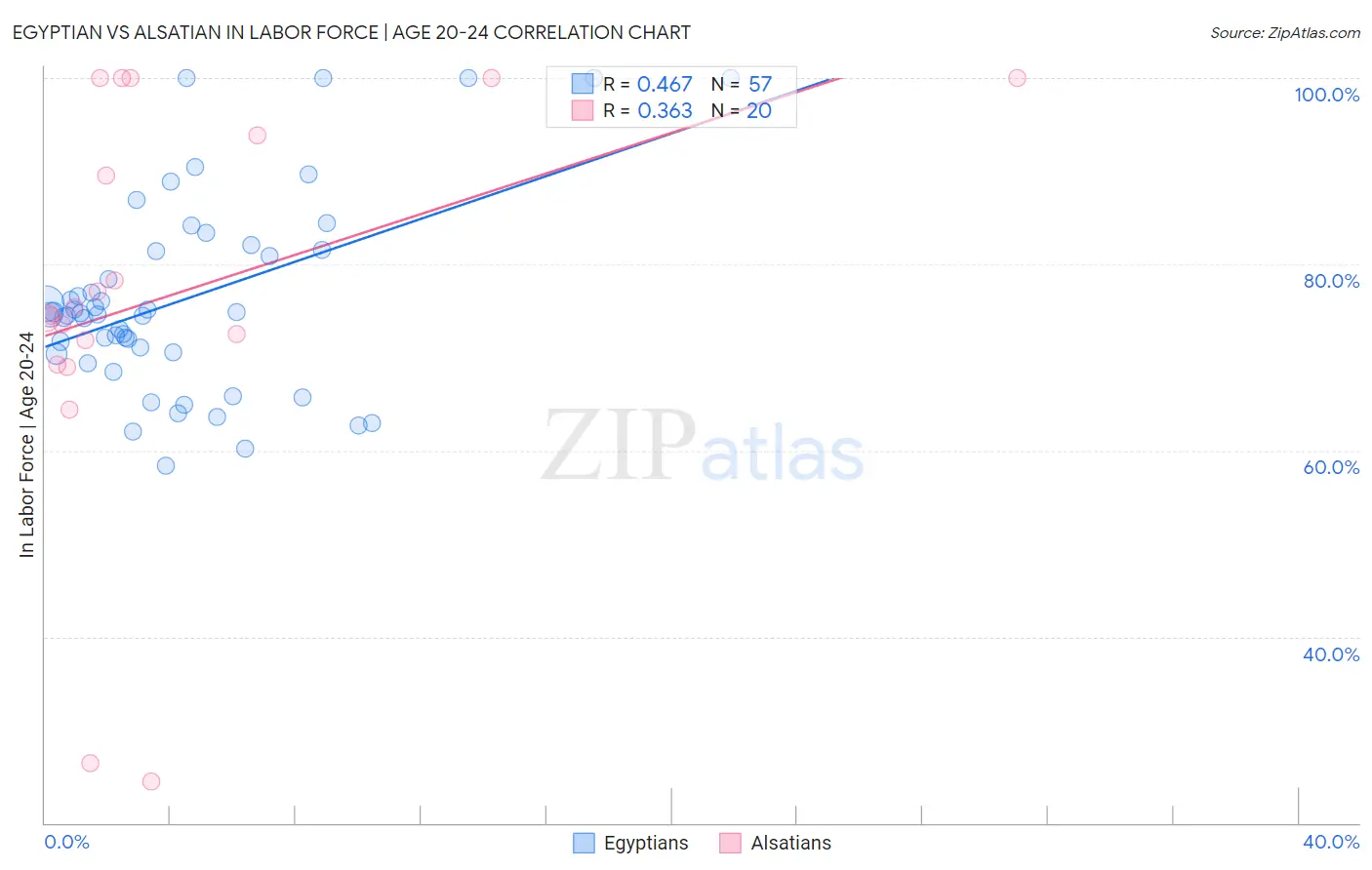 Egyptian vs Alsatian In Labor Force | Age 20-24