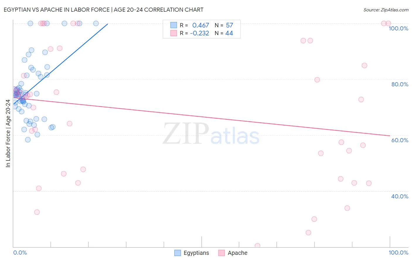 Egyptian vs Apache In Labor Force | Age 20-24