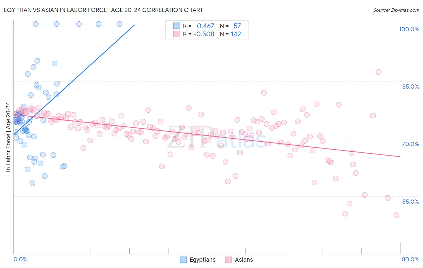 Egyptian vs Asian In Labor Force | Age 20-24