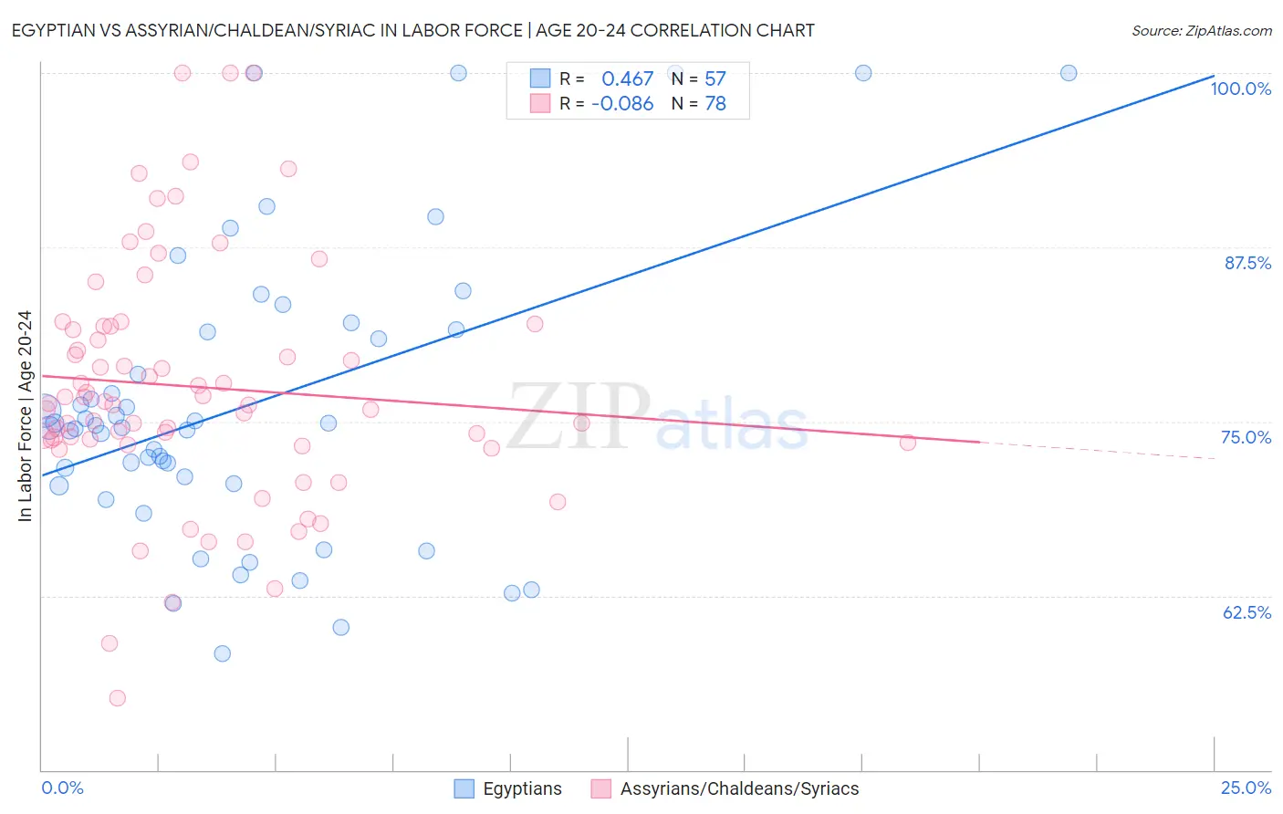 Egyptian vs Assyrian/Chaldean/Syriac In Labor Force | Age 20-24