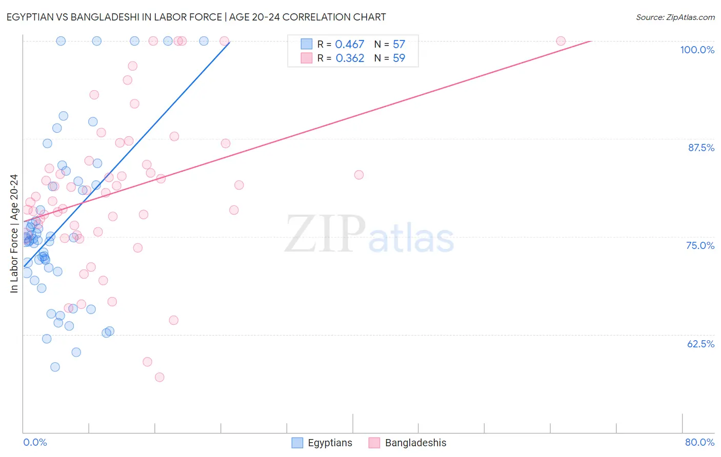 Egyptian vs Bangladeshi In Labor Force | Age 20-24