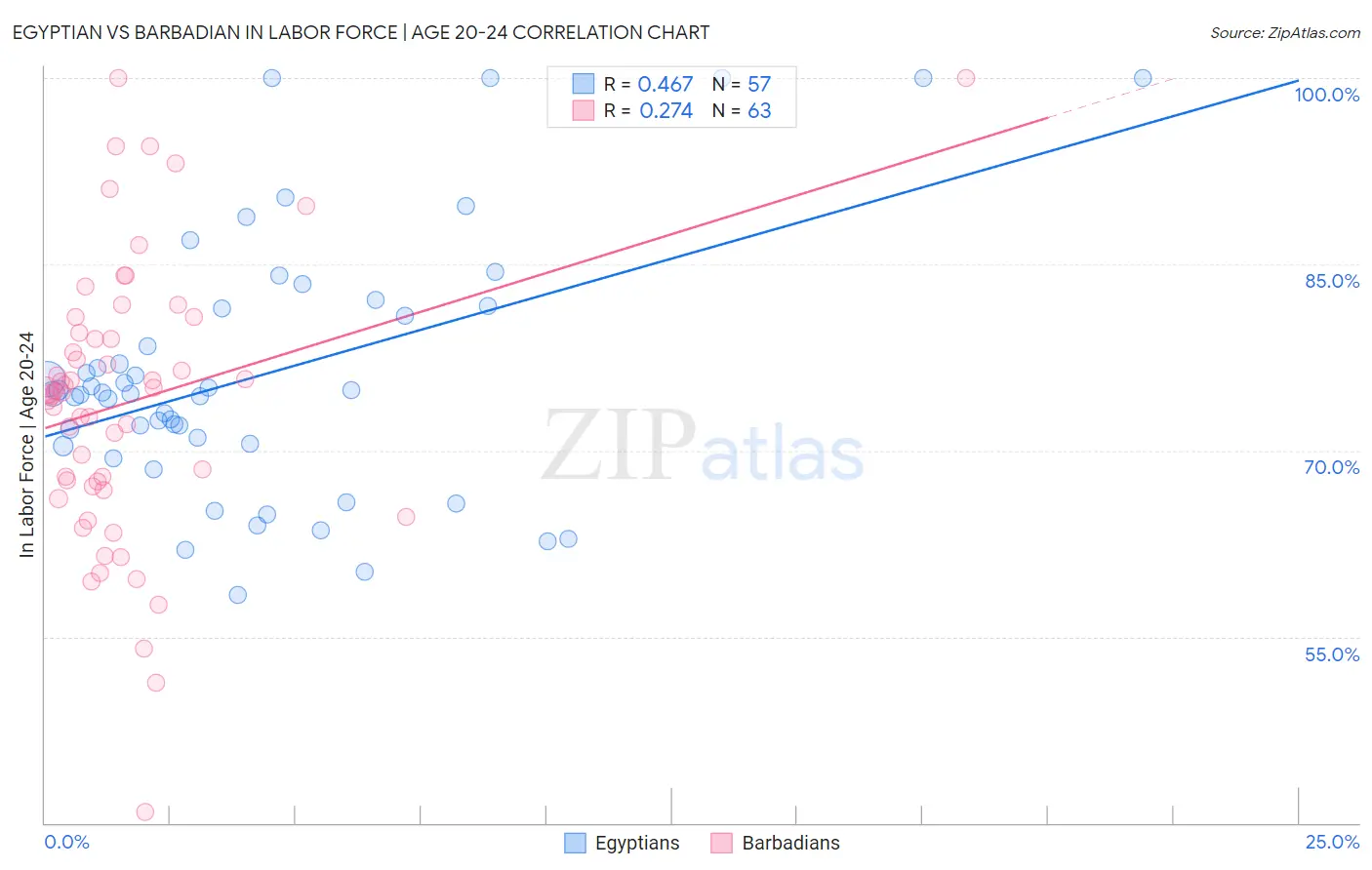 Egyptian vs Barbadian In Labor Force | Age 20-24