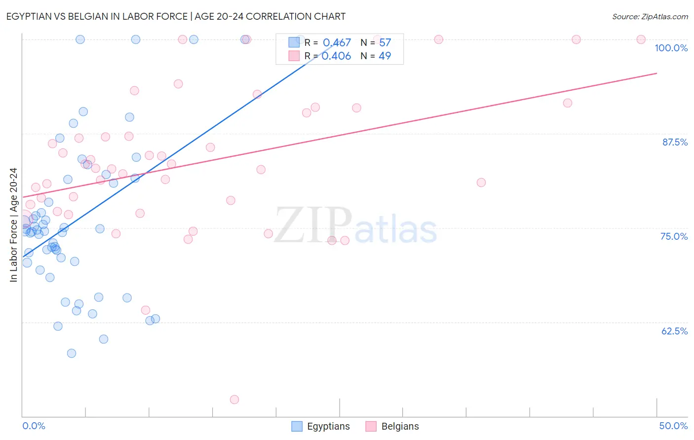 Egyptian vs Belgian In Labor Force | Age 20-24