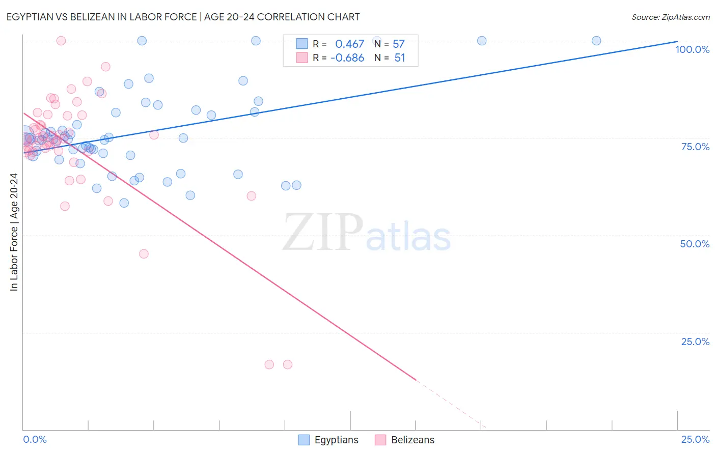 Egyptian vs Belizean In Labor Force | Age 20-24