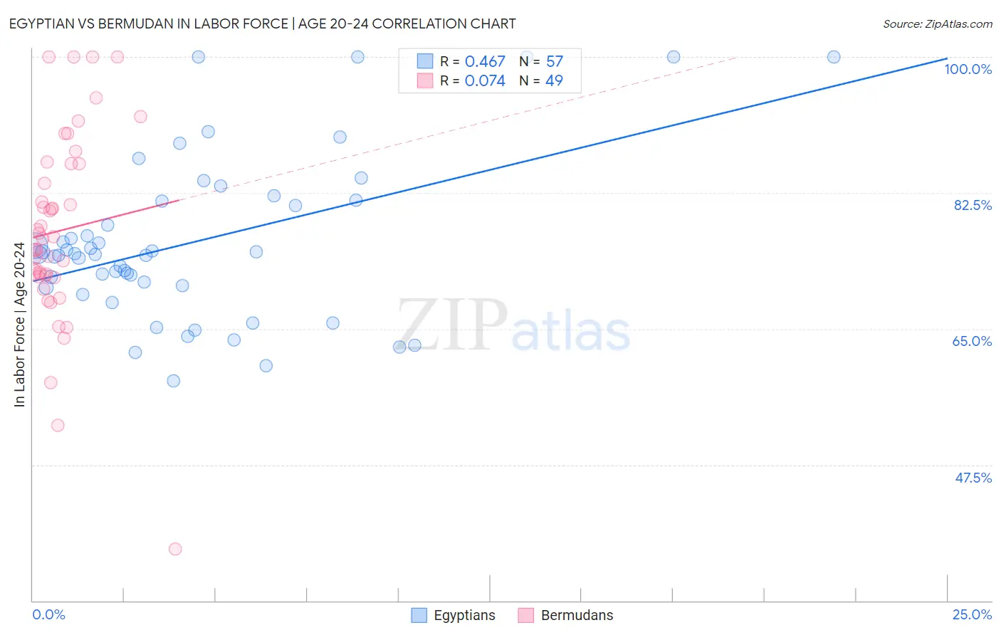 Egyptian vs Bermudan In Labor Force | Age 20-24