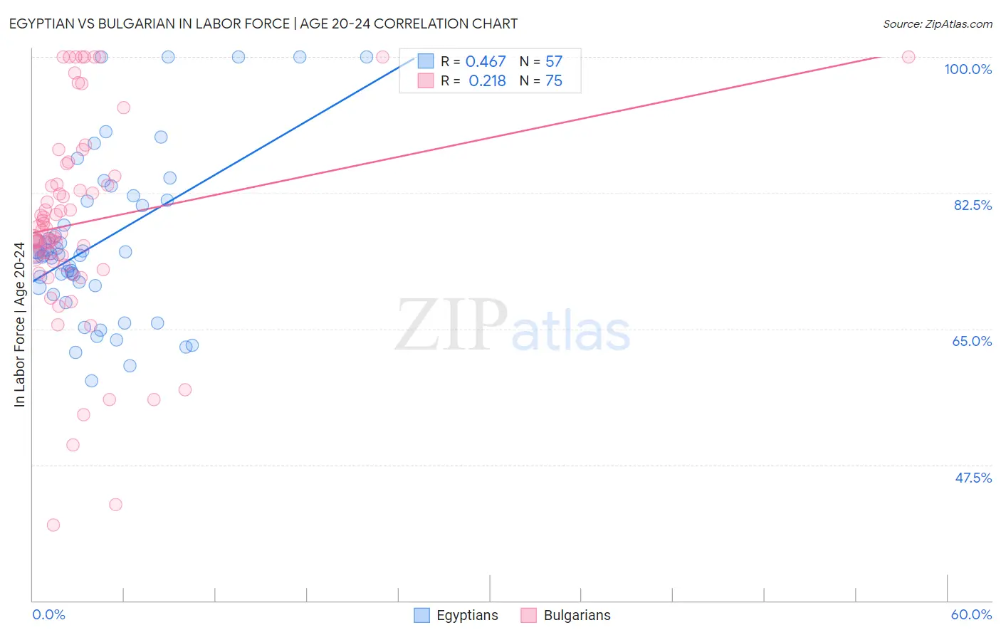Egyptian vs Bulgarian In Labor Force | Age 20-24