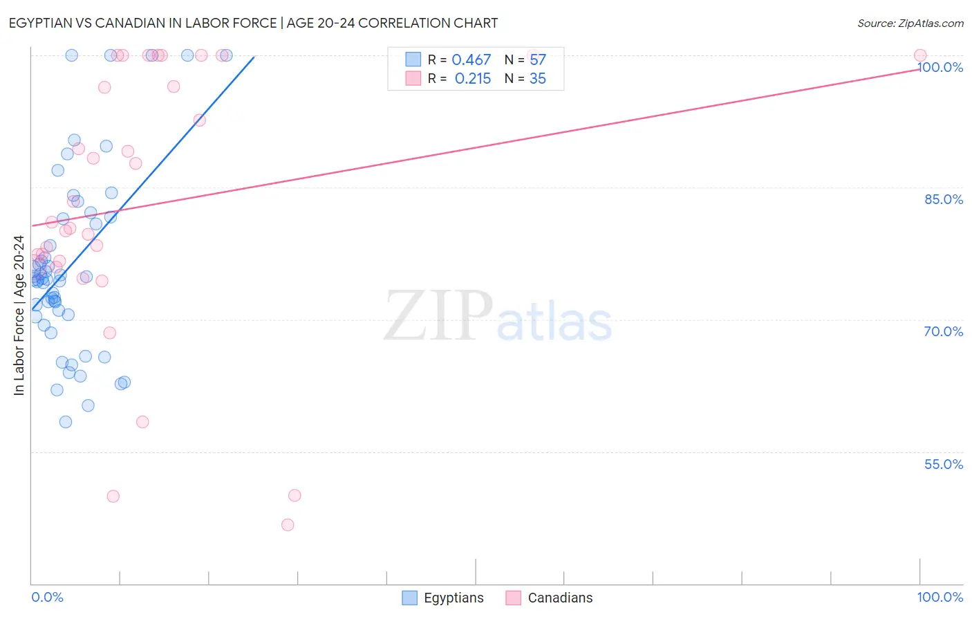 Egyptian vs Canadian In Labor Force | Age 20-24