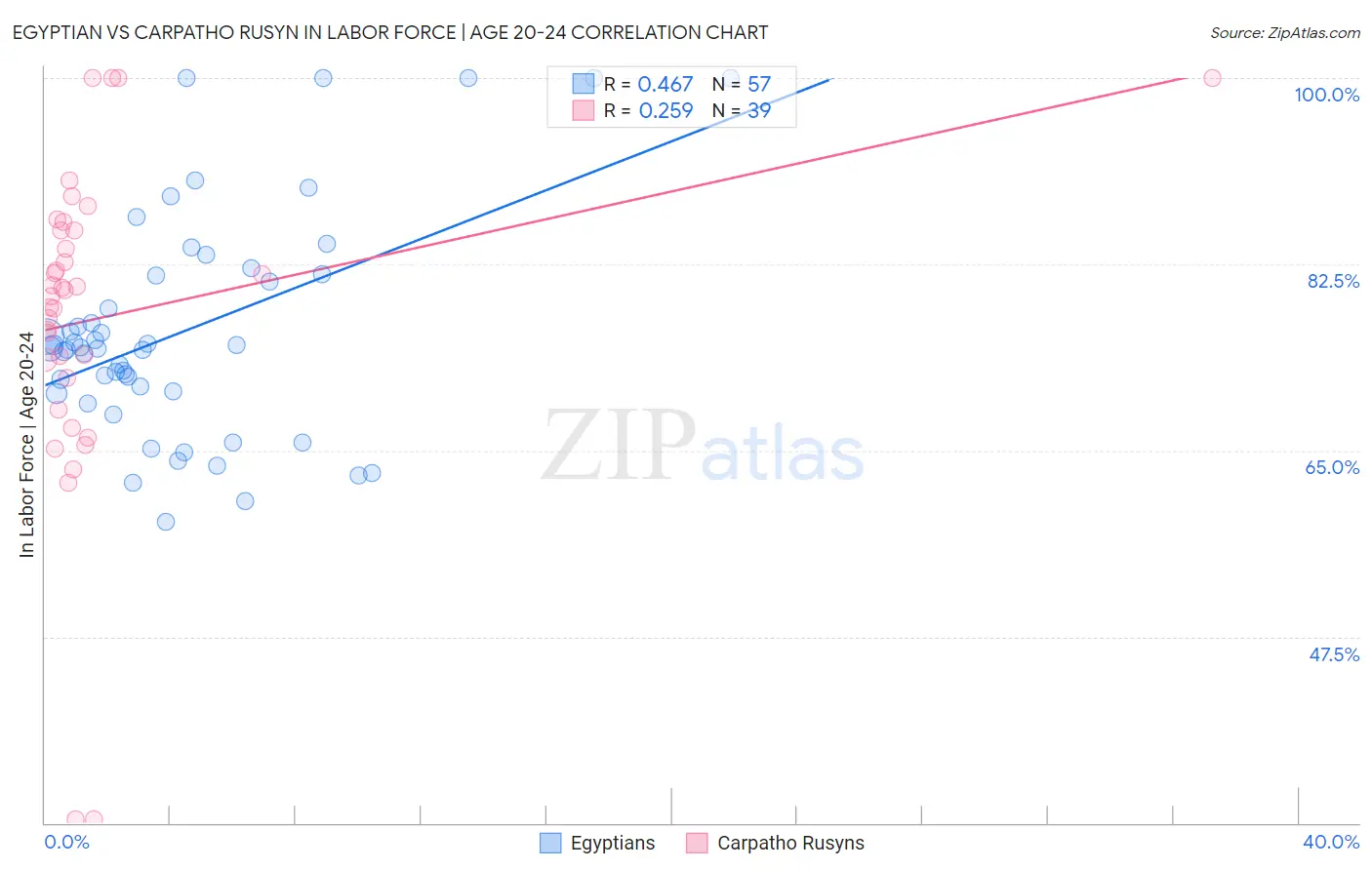Egyptian vs Carpatho Rusyn In Labor Force | Age 20-24