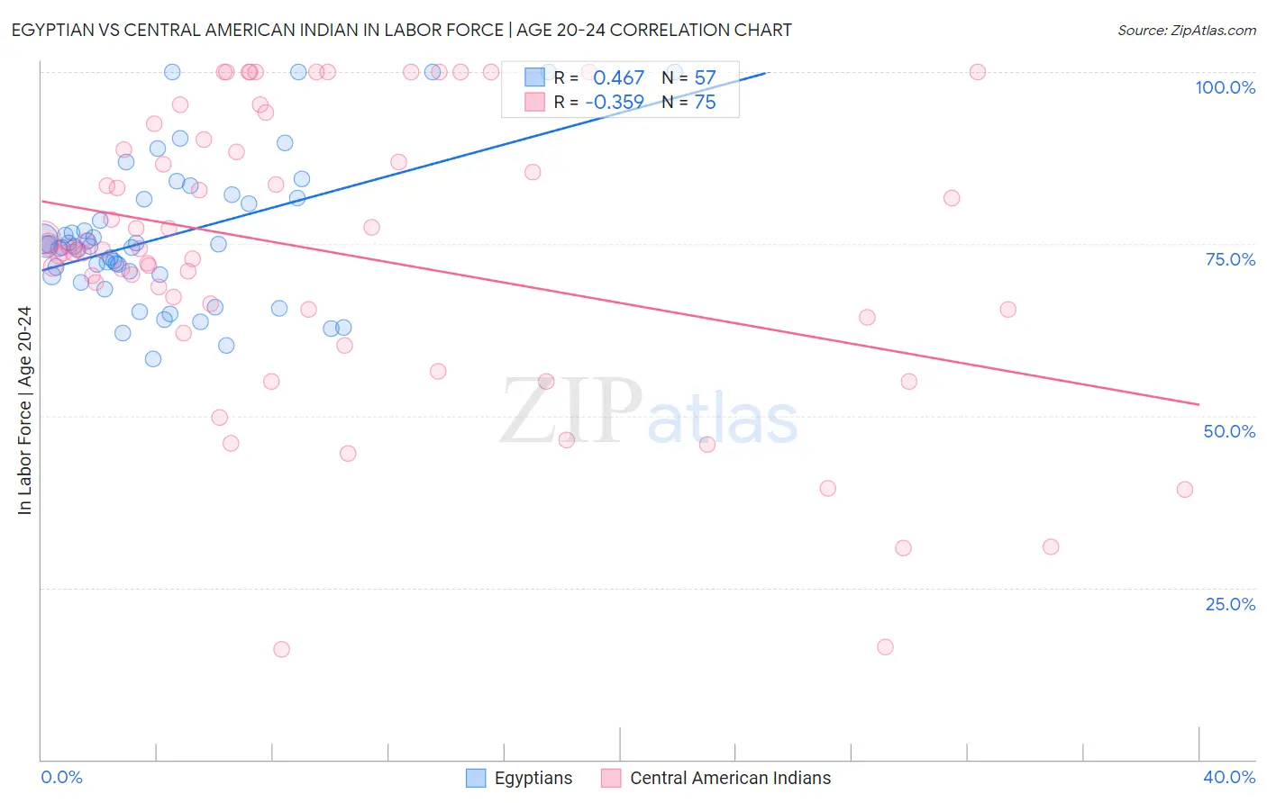 Egyptian vs Central American Indian In Labor Force | Age 20-24
