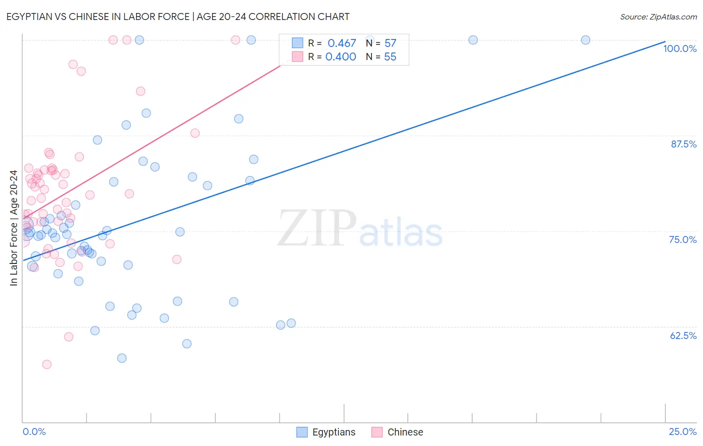 Egyptian vs Chinese In Labor Force | Age 20-24