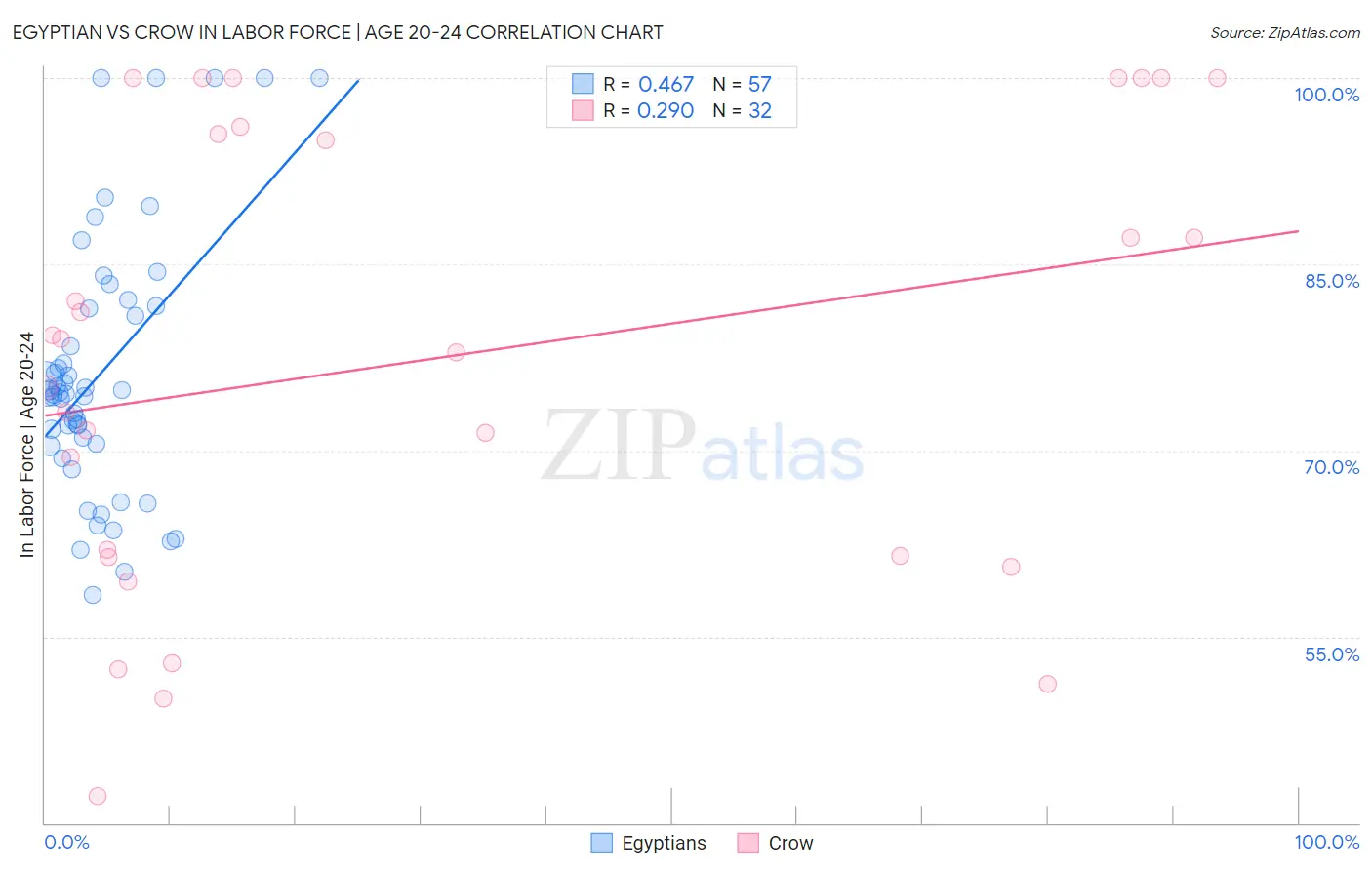 Egyptian vs Crow In Labor Force | Age 20-24