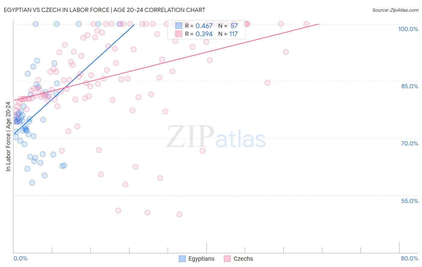 Egyptian vs Czech In Labor Force | Age 20-24
