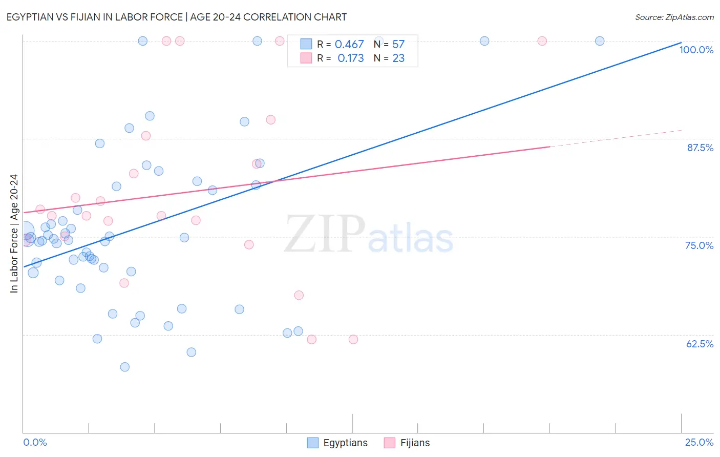 Egyptian vs Fijian In Labor Force | Age 20-24