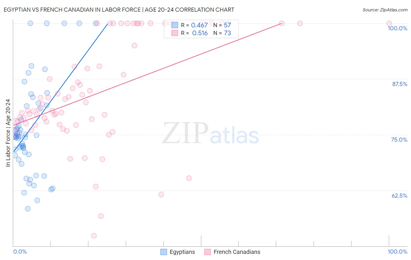 Egyptian vs French Canadian In Labor Force | Age 20-24